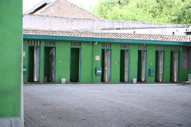 Best Local porta potty services  in Lumbine Valley, CO